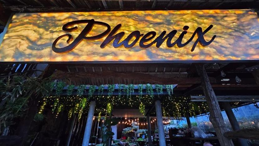 Phoenix Hotel An Bang Beach هوي ان المظهر الخارجي الصورة